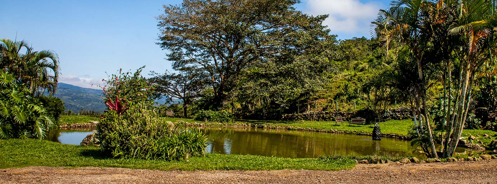 vena view lot for sale in san ramon costa rica, ocean view lot for sale, mountain view lot for sale, buildable lot on gated community in mountains of costa rica, lot with water and electric in costa rica, large lot for sale in central highlands of costa rica.